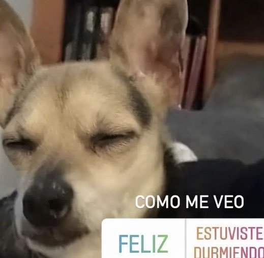 andd_shtwt's tweet photo. ok si, no puedo dejar de dormir 😭 https://t.co/ZYO7uQj5zv