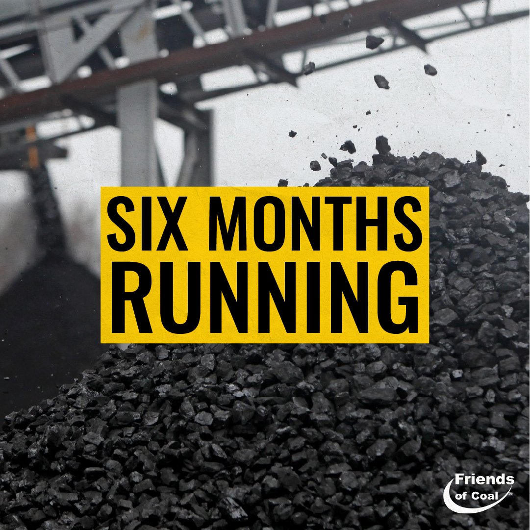 FriendsofCoalKY's tweet photo. American steam coal exports have run ahead of the year before for six straight months, reaching 31.1 million tons through August, the highest total for that stretch in two years. #FriendsOfCoal https://t.co/6RZyaHfYWq