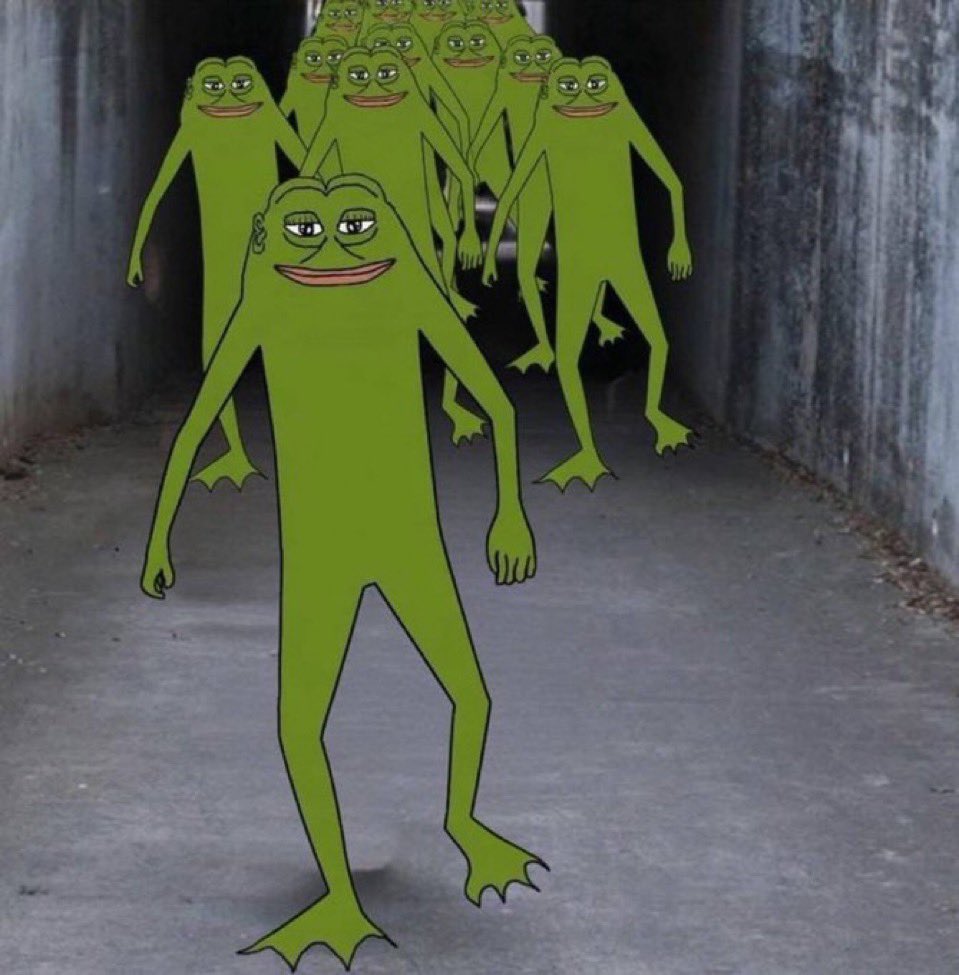 FishingGroper's tweet photo. @NickJFuentes @FigBloppaGroype @fshgroyp We’re coming for everything🐸🔥 https://t.co/00sjlnsDXZ