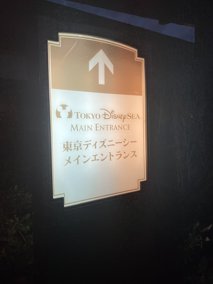 Takkou1027's tweet photo. 乁( ˙ω˙ 乁)ｳｪ-ｲ https://t.co/a8LQt4tS26