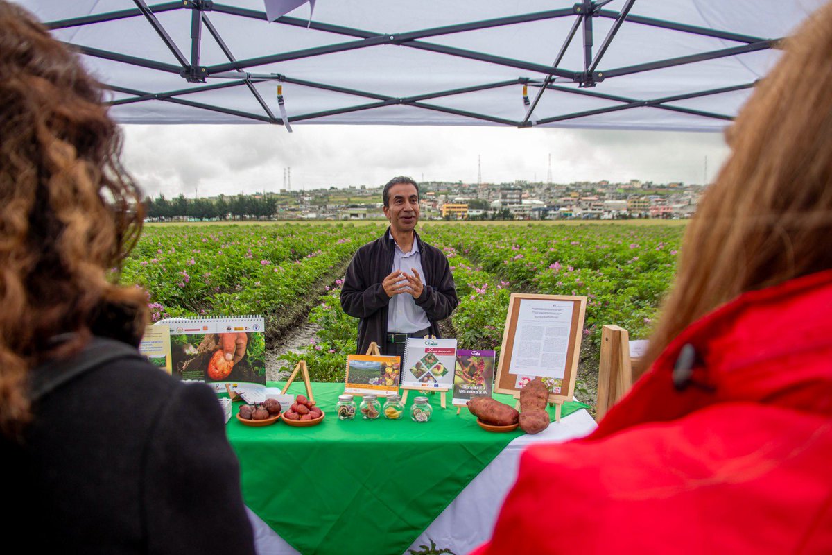 INIAPECUADOR's tweet photo. Durante 36 meses, la iniciativa beneficiará a 483 agricultores de Tungurahua y Chimborazo, fortaleciendo sus capacidades productivas, los bancos locales de semillas y las oportunidades de comercialización. https://t.co/Aj5u67UqFv