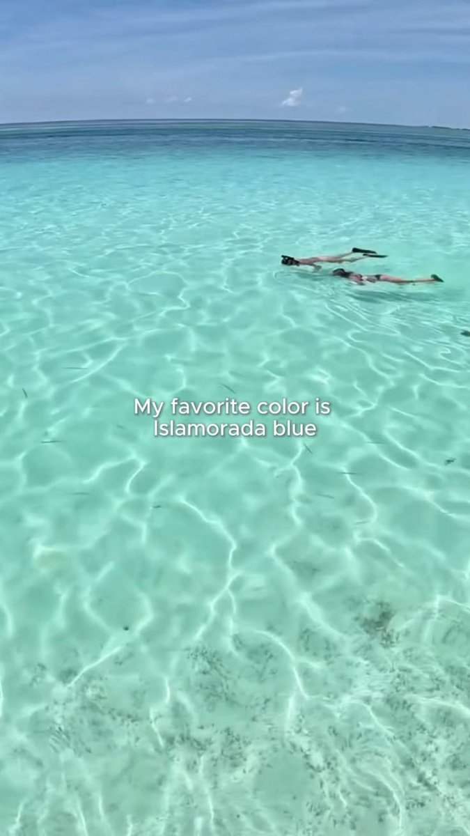 _BeachTraveler's tweet photo. Visit Florida: There’s blue, and then there’s Islamorada blue. 🫶 📍 Islamorada, Florida Keys 📸 @clearly_unique_charters www.​pinterest.​com/pin/163466661471738218/ #Islamorada #FloridaKeys #TravelPhotography #NatureLovers #ExploreFlorida https://t.co/KwHKh0qxcA