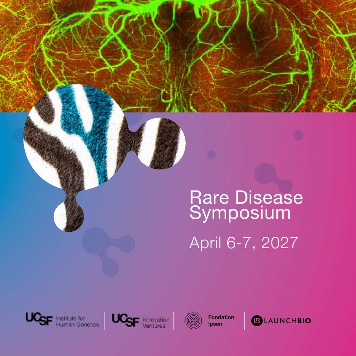 IHG_at_UCSF's tweet photo. We’re excited to share that the 2027 Rare Disease Symposium will take place on April 6th and 7th, 2027, at the William J. Rutter Center, Fisher Banquet Hall, at UCSF! More details to come. @UcsfVentures @FondationIpsen @LaunchBio https://t.co/2QmveIyxCJ