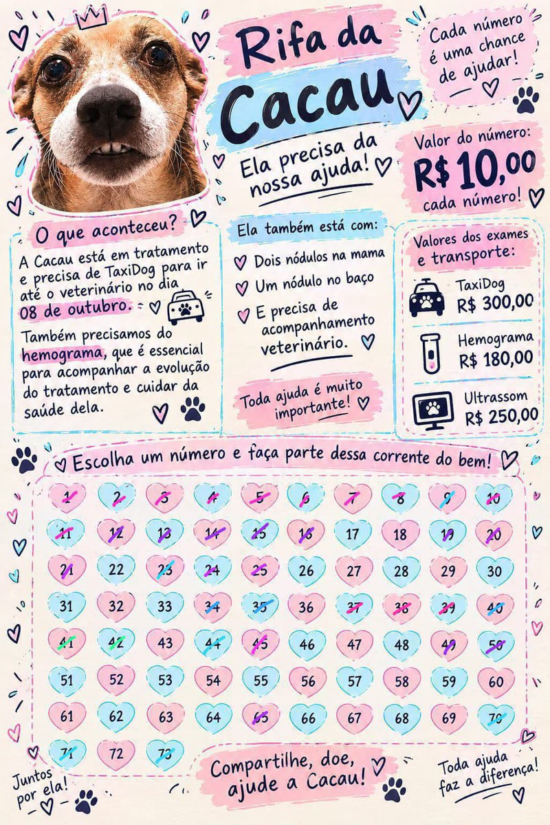 thaiannax's tweet photo. POR FAVOR, AJUDEM A CACAU! 🙏Pix CPF 149.983.397-02

Gente, já faz quase um mês que a rifa da Cacau está rolando e, infelizmente, ainda não conseguimos completar. Estamos precisando muito da ajuda de vocês para conseguir finalizar essa rifa e realizar os exames iniciais de que ela precisa. 😞❤️ A Cacau continua fazendo xixi meio avermelhado e, agora, fez um xixi com um borrão escuro e risquicios de sangue. O veterinário suspeita de uma possível cistite e pediu para levá-la para uma avaliação, mas estamos enfrentando dificuldades para conseguir arcar com tudo. É muito angustiante ver ela passando por isso e não conseguir resolver tudo por falta de recursos. Por isso, venho pedir, de coração, que nos ajudem! 🥺
 Quem puder participar da rifa, doar R$ 5, R$ 10 ou qualquer quantia, já estará fazendo uma enorme diferença. Não importa o valor, o importante é cada um ajudar como puder. Pfvr,me ajudem 😭