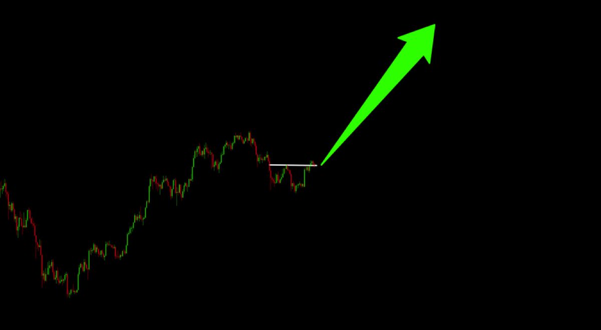 TylerSCtrade tweet picture