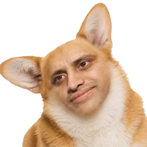 whileincare's tweet photo. @ZiaYusufUK 🤔Why am I detecting the strong scent of Corgi bullshit? https://t.co/Ji5AFVqm0T