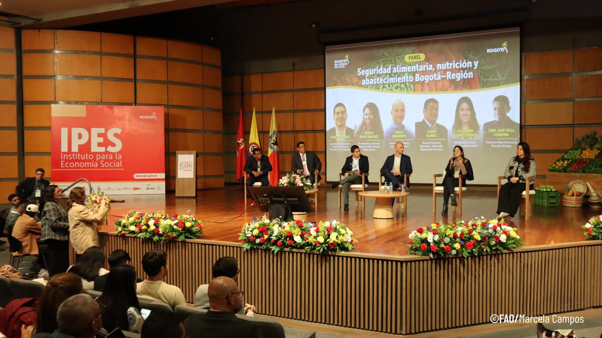 FAO_Colombia's tweet photo. 🎙️ #AEstaHora Tulio Montemiranda, de la @FAO🇨🇴, modera el panel "Seguridad alimentaria, nutrición y abastecimiento Bogotá–Región" en el 1er Encuentro Internacional de Plazas de Mercado organizado por @IPESBogota. Un diálogo para conectar territorios y alimentación saludable. 🥗 https://t.co/gsxRYu8jgM
