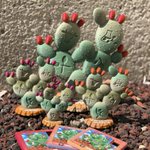 Photo by Prickly Pear Potential (@PrcklyPotential)