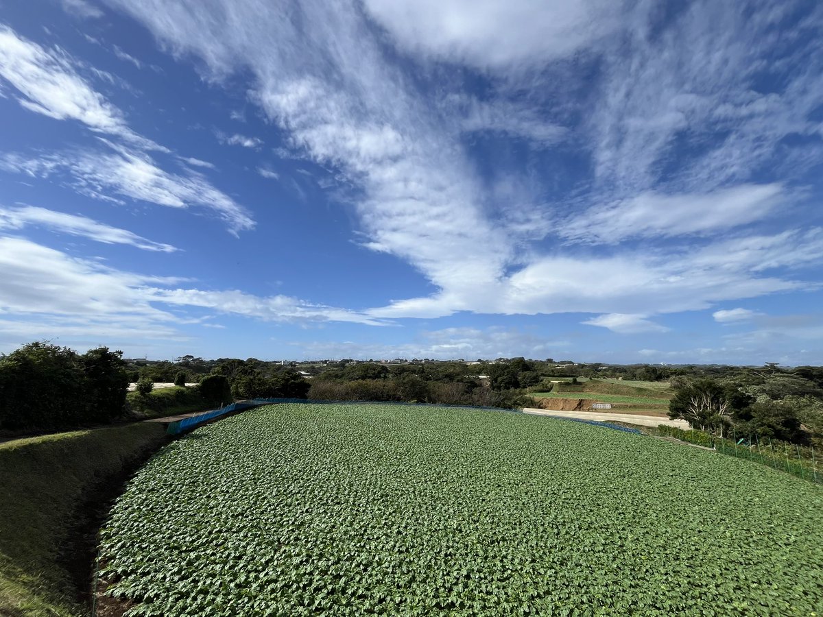 wringbeans's tweet photo. 昨日はとりあえず三浦海岸勤務の最終日🐟

日々野山を歩き続けてる疲労もすごいけど、日課となったYRP野比からの朝活ランを4.6km
ギリギリ土砂降り回避っ☔️

帰路は横須賀の事務所に寄り道してから、横須賀駅まで2.5kmランからの二宮周りで8kmの夜活ラン

お昼の揚げ物を消化っ🐟 https://t.co/uh9DH6RMBT