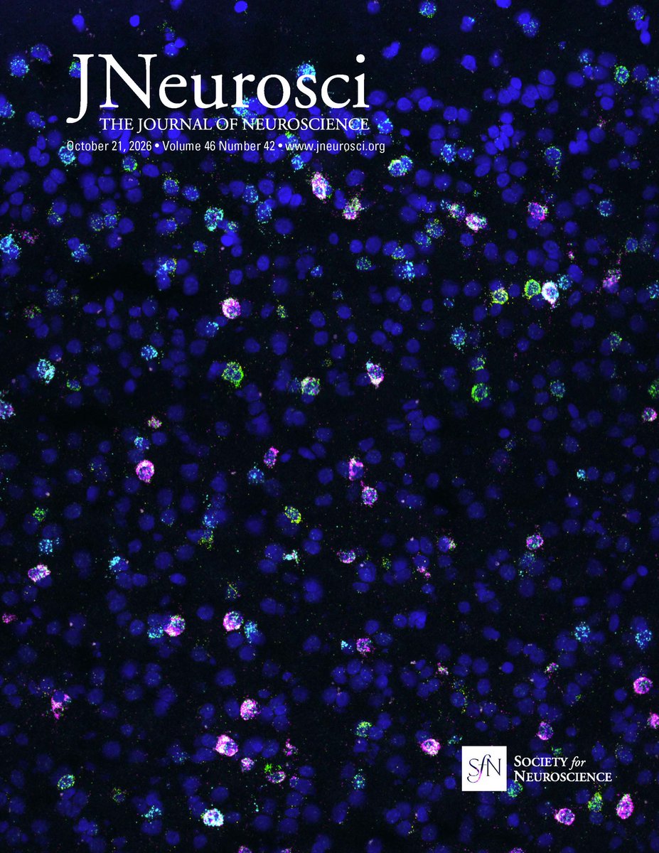 SfNJournals's tweet photo. This Week in the Journal #JNeurosci | Exploring α-Synuclein's Natural Function; How the Brain Perceives Self-Motion under Sensory Conflict
https://t.co/tXluFObVQU https://t.co/zKqESLDJij