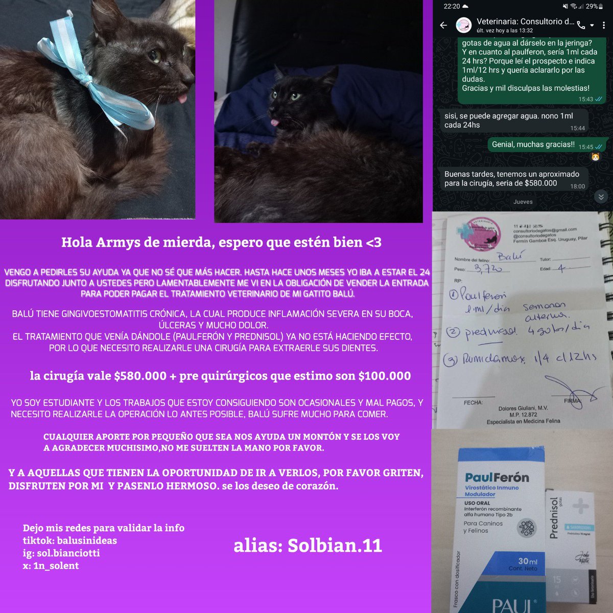 1n_solent's tweet photo. Armys necesito su ayuda por favor 🙏 
Necesito pagar el tratamiento de mi gatito. Si 500 armys me ayudaran con 1000 pesos podría pagar una gran parte de su tratamiento. 
Compartiendo me ayudan un montón 

#BTS_ARIRANG
Jungkook 
Seokjin
Kim taehyung https://t.co/avPJ7huKFt