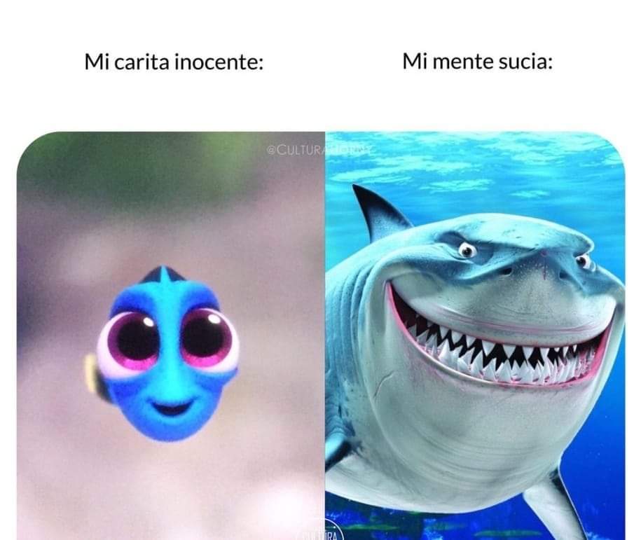 SoyKarol_cat's tweet photo. Muajjaja.😝😅😆😏🤭 https://t.co/jiPHoFhjTA