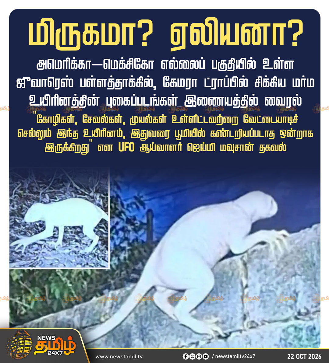 NewsTamilTV24x7's tweet photo. News Update || மிருகமா? ஏலியனா?

அமெரிக்கா–மெக்சிகோ எல்லைப் பகுதியில் உள்ள ஜுவாரெஸ் பள்ளத்தாக்கில், கேமரா ட்ராப்பில் சிக்கிய மர்ம உயிரினத்தின் புகைப்படங்கள் இணையத்தில் வைரல்

"கோழிகள், சேவல்கள், முயல்கள் உள்ளிட்டவற்றை வேட்டையாடிச் செல்லும் இந்த உயிரினம், இதுவரை பூமியில் கண்டறியப்படாத ஒன்றாக இருக்கிறது" என UFO ஆய்வாளர் ஜெய்மி மவுசான் தகவல்

MexicoBorder | UFOMystery 

#MysteriousCreature #AlienMystery #ViralNews