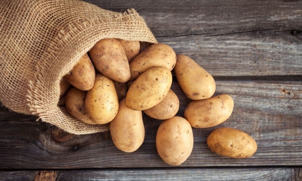 bps21's tweet photo. @BuffaloSabres Who do you think has done less for the Sabres in 2026? 

Jarmo who has been the GM through a trade deadline, draft and free agency period…

Or this sack of potatoes? 

The answer might not be what you think! https://t.co/ZOUoA9MJg8