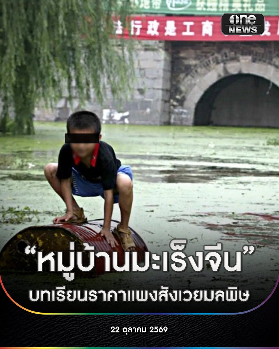 onenews31's tweet photo. 22 ต.ค. 69 ถือเป็นหนึ่งในบทเรียนราคาแพงระดับโลกสำหรับปรากฏการณ์ “หมู่บ้านมะเร็ง” (Cancer Villages) หรือในภาษาจีนเรียกว่า “อ๋ายเจิ้งชุน” (癌症村) เงามืดอันน่าสะพรึงกลัวที่ซ่อนอยู่ใต้ฉากหลังการเติบโตทางเศรษฐกิจอย่างก้าวกระโดดของประเทศจีน หลังการเร่งพัฒนาอุตสาหกรรมตลอดหลายทศวรรษที่ผ่านมา ได้ทิ้งมลพิษทางน้ำ ดิน และอากาศ จนส่งผลให้ประชาชนในชุมชนชนบทหลายแห่งต้องป่วยและเสียชีวิตด้วยโรคมะเร็งอย่างผิดสังเกต
.
ข้อมูลการประเมินจากสื่อมวลชน นักวิชาการ และองค์กรเอกชนด้านสิ่งแวดล้อม ระบุว่า จีนเคยมีชุมชนที่ถูกจัดให้อยู่ในกลุ่ม “หมู่บ้านมะเร็ง” กระจายอยู่ทั่วประเทศมากถึง 459 แห่ง โดยส่วนใหญ่ตั้งอยู่ใกล้โรงงาน นิคมอุตสาหกรรม เหมืองแร่ หรือแม่น้ำที่ปนเปื้อนสารเคมีอันตราย ตัวอย่างเคสสำคัญ ได้แก่
.
หมู่บ้านหยางหลิงกั่ง (ริมแม่น้ำแยงซี) ถูกโอบล้อมด้วยโรงงานกระดาษ โรงไฟฟ้า และนิคมอุตสาหกรรม พบชาวบ้านเสียชีวิตจากมะเร็งอย่างน้อย 11 รายตั้งแต่ปี 2003 ขณะที่แหล่งน้ำดื่มประจำหมู่บ้านมีกลิ่นและรสชาติแปลกปลอมคล้ายสารเคมี
.
หมู่บ้านอู่หลี่ (ใกล้เมืองหางโจว) ตั้งอยู่ใกล้เขตอุตสาหกรรมเคมีตั้งแต่ปี 1992 ชาวบ้านพบสถิติผู้เสียชีวิตด้วยโรคมะเร็งสูงถึง 60 รายในช่วงปี 1992–2004 ท่ามกลางสภาพน้ำที่กลายเป็นสีดำและกลิ่นฉุนของสารพิษ
.
หมู่บ้านตงซิง (มณฑลเจียงซู) เคยเผชิญวิกฤตโรงงานผลิตสารคลอโรฟีนอล (สารก่อมะเร็ง) ปริมาณปีละ 2,000 ตัน ส่งผลให้มีผู้ป่วยมะเร็งพุ่งสูงกว่า 100 รายในช่วงปี 2000–2005 ก่อนที่โรงงานจะถูกสั่งปิดในปี 2010 แต่ทิ้งกากพิษฝังกลบใต้ดินไว้ให้ชาวบ้านหวาดผวา
.
จากรายงานในปี 2013 พบว่า อัตราการเสียชีวิตด้วยโรคมะเร็งของชาวจีนเพิ่มขึ้นถึง 80% ในช่วงเวลา 30 ปี ขณะที่แม่น้ำและทะเลสาบกว่า 70% ทั่วประเทศปนเปื้อนพิษอย่างหนัก ปรากฏการณ์นี้ถูกขับเคลื่อนและเรียกร้องโดยนักสิ่งแวดล้อมมาตั้งแต่ปลายทศวรรษ 1990 จนกระทั่งในปี 2013 กระทรวงคุ้มครองสิ่งแวดล้อมของจีน ได้ระบุคำว่า “หมู่บ้านมะเร็ง” ลงในเอกสารราชการระดับกระทรวงอย่างเป็นทางการ ซึ่งถือเป็นเหตุการณ์ประวัติศาสตร์ในการยอมรับความผิดพลาดจากการพัฒนาอุตสาหกรรมที่ขาดการควบคุม
.
#onenews
#สำนักข่าววันนิวส์