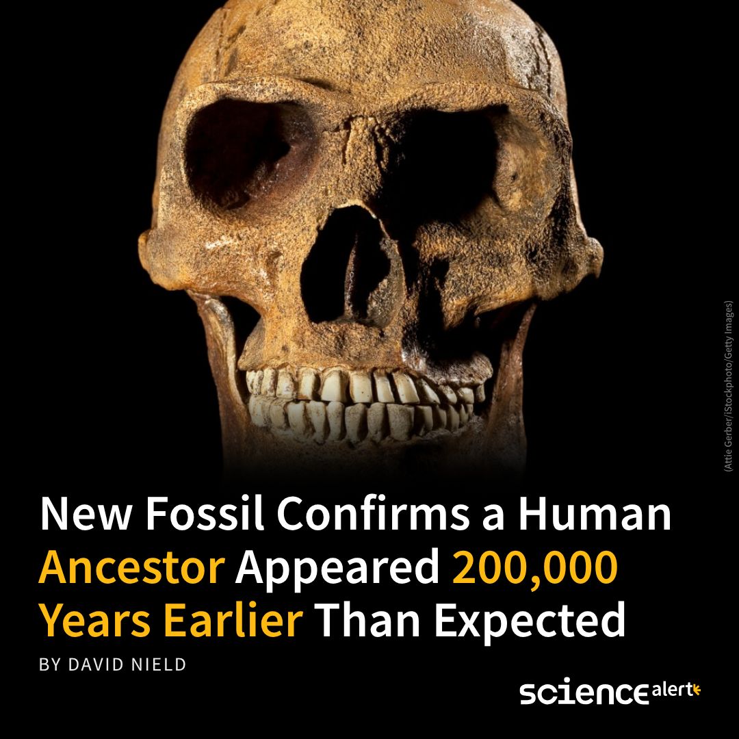 ScienceAlert's tweet photo. A timeline transformation. 🔗 https://t.co/LJEhwyWNca https://t.co/3R8LyJo5Q6