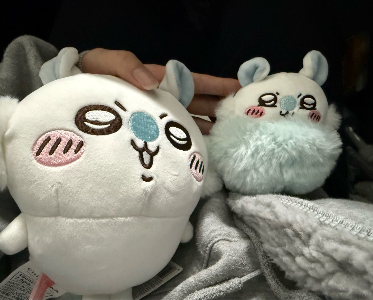 minjidayo's tweet photo. 올해 4월에 친구가 모몽가 좋아해서 미니소 가서 몽가 토벌했을때는 인형 꽉꽉 차있었는데…
그 친구 덕에 먼작귀 입덕하구 같이 영화보고 굿즈 구하려니까 넘 빡세 ㅜㅜ https://t.co/47gYRpWCV5