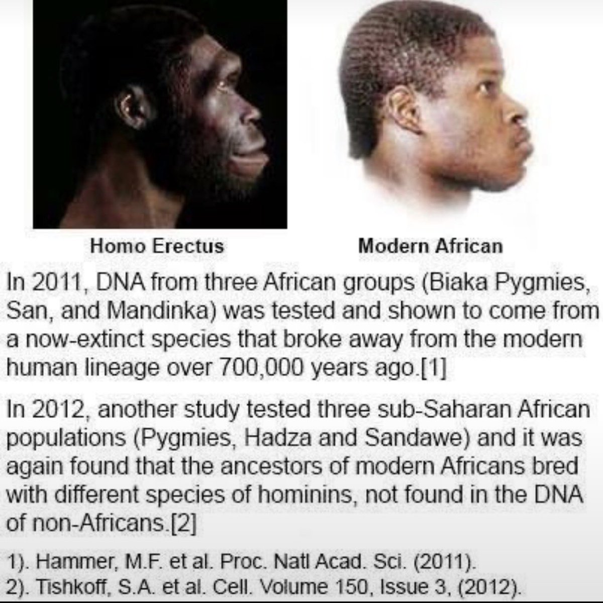 TruthFairy131's tweet photo. Modern Mainstream Propaganda Science:

Deep in the evolutionary tree, the broad group of primates known as anthropoids first emerged in Asia roughly 40 million years ago then all decided to pack up & move to Africa.

Then they went back to Asia & migrated to Africa again about 6 to 8 million years ago & magically became humans then they left Africa & transformed into different species & races of humans around the world 🪄 

It gets better…

Fossil discoveries, such as Dryopithecus or Graecopithecus in Europe & Western Asia, suggest that certain ape-like ancestors spent time in Eurasia then they too decided to head back over to Africa 😂

Their theory is that every Ape migrated to Africa & none could have evolved out of Africa because apparently Africa must have had ‘magic soil or magic bananas?” that transforms Apes into humanoid species. 🍌 🙄

Africans have up to 20% Ghost DNA that non-Africans do NOT have.

Europeans & East Asians also have Neanderthal DNA not found in Africans.

When we look at the Civilised world & the 3rd world, we see the obvious differences between racial groups.

Whatever happened in the past, it is obvious that we are very different & are at very different points of evolution. 

The West giving modern technology to primitive people was one of our biggest mistakes. 

Now to throw a primitive race & advanced race together does not elevate & encourage the evolution of the more primitive group, it regresses the evolved, advanced  group & only takes them backwards.

There have been multiple research studies on this & we are witnessing this right now. 

Our younger generations are dropping in IQ levels for the first time in history in the West & many are adopting uncivilised low IQ behaviours.

A nation is a direct reflection of a people.

You can see this now in Western cities where White Europeans are now a minority, our cities are 3rd world war zones. They now reflect the ‘new’ population.

We need to discuss reality.