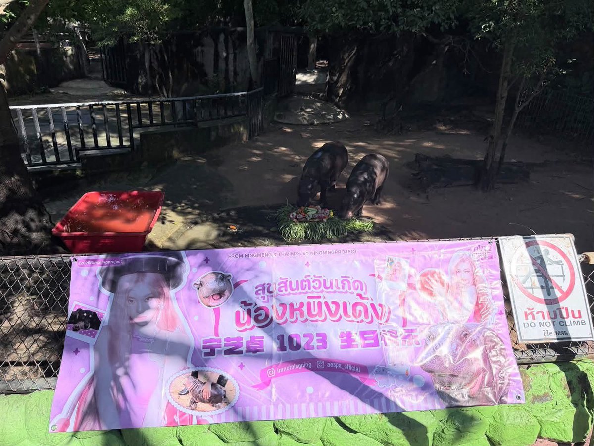 ningningproject's tweet photo. สุขสันต์วันเกิดน้องหนิงเด้งจาก ฮิปโป แม่โจน่า และ น้องหมูเด้งคนเดิมของพี่หนิงหนิง🦛

NINGNING &amp; MOODENG BIRTHDAY EVENT #2026Ningningproject

@and_khamoo  @KhaokheowZoo 
 
#宁艺卓 #NINGNING #닝닝
#aespa HAPPY BIRTHDAY 🎂🦋 https://t.co/CgZxDUyEeR