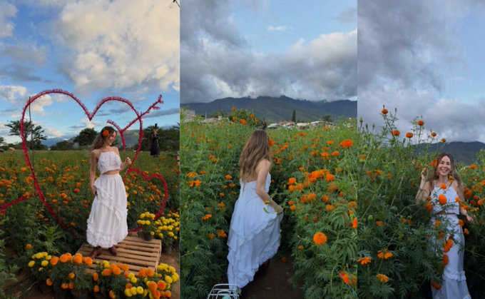 DeUltimoM's tweet photo. Camila Sodi disfruta de campos de cempasúchil en Oaxaca https://t.co/E8p07ROEjh