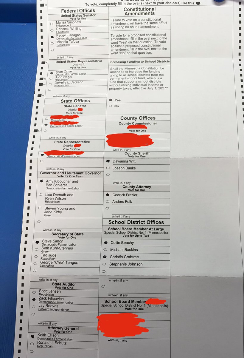 tenminutecrafts's tweet photo. I voted straight-ticket Democratic https://t.co/ICm315kzf5