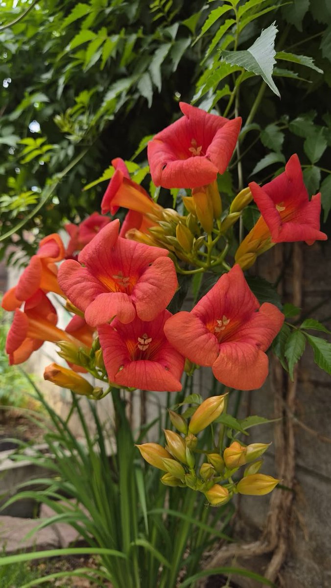 _gujju_7's tweet photo. Good morning https://t.co/Q3XNBdjem7