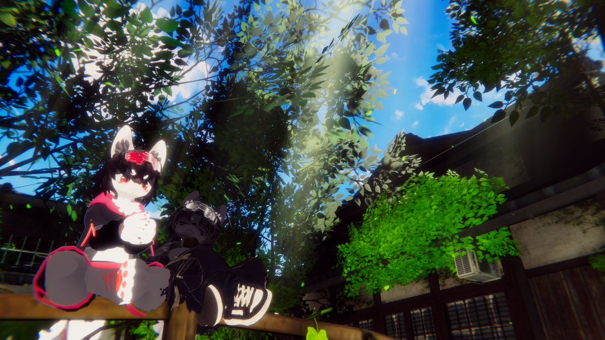 urushi_inari's tweet photo. おはよう🌞 https://t.co/Q2OAXkQ6Z9