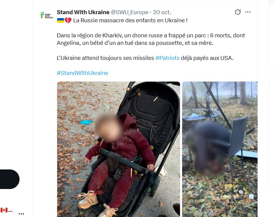 spiche2000's tweet photo. @MonChatRonfle Quand Donald dit que Putin est bon, le chat est content. Si t'es confortable avec ça, moi je le serais pas. https://t.co/sbNsJN3kVa
