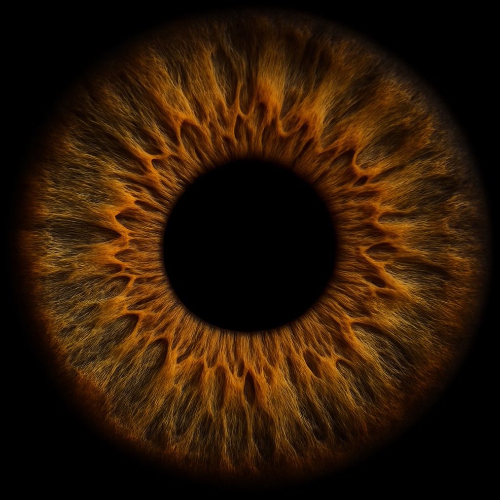 bywhiteof tweet picture