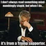 Photo by Gary Kevorkian (@GARY805)