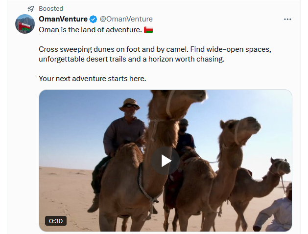 knittedknobs's tweet photo. twitter thinks I want to visit Oman because I do a lot of tweets about the gay polar bear at the zoo who lives behind the camels  #wheresdavidattenborough #visitoman #gaypolarbear #notridingacamel https://t.co/vEWSBdAvxU