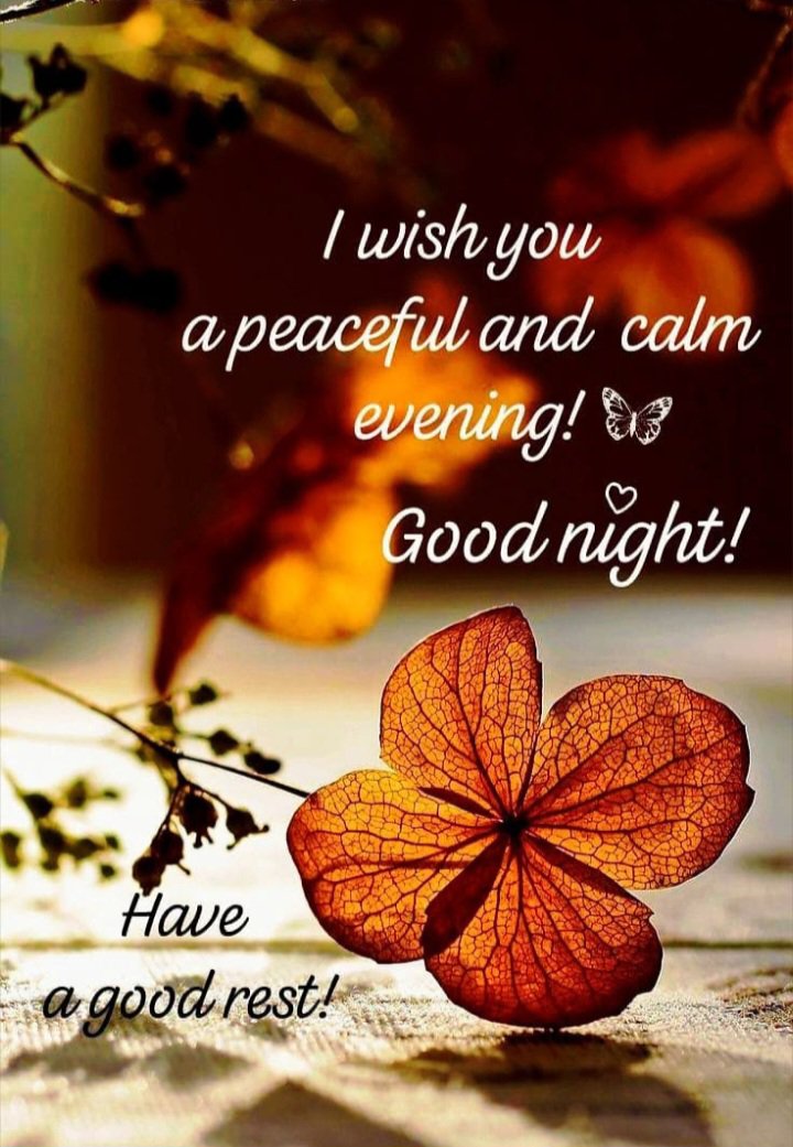 deborah_bucher's tweet photo. Goodnight, my friends 🥱😴 Sleep well, sweet dreams ✨️💫✨️ Love you all ❤️ See you tomorrow 💤💤 https://t.co/2QmkQ4KblA