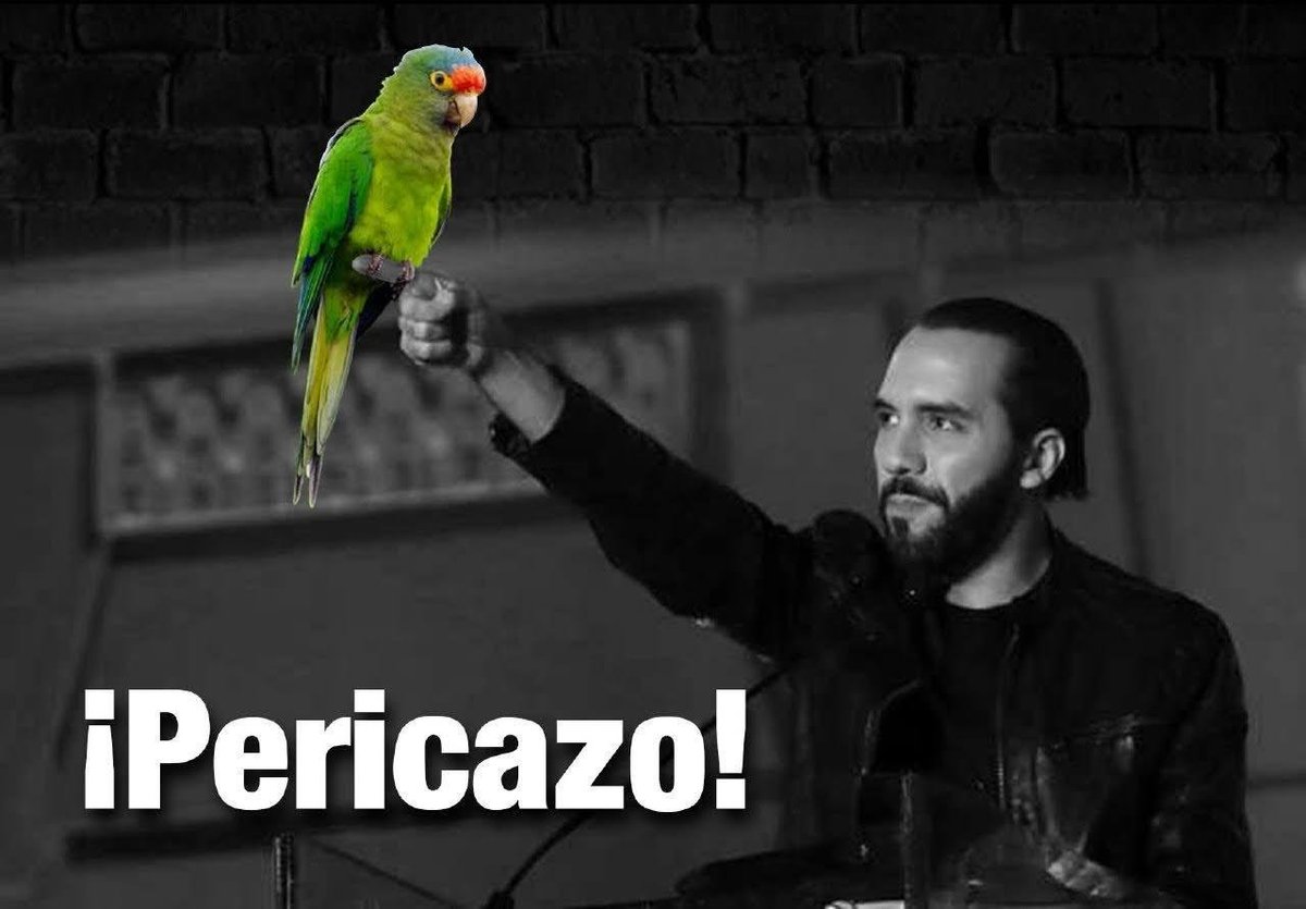 MaxSantanaSV's tweet photo. 🙄 me desconecto un rato y ahora el drogo anda ya amenazando con invadir otros países 🙄 ta juerte el perico... https://t.co/OHcwOArP7e
