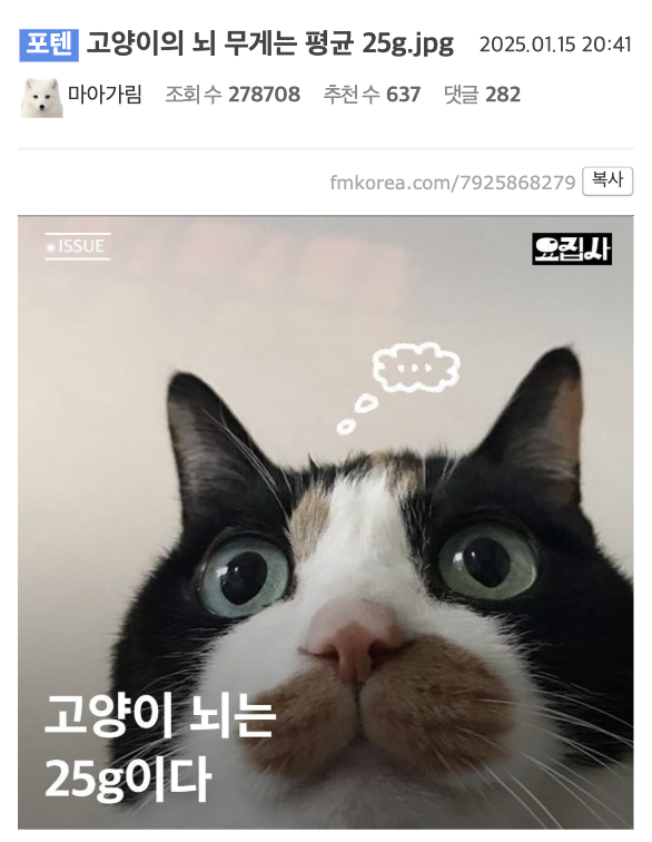 laterinfo_'s tweet photo. 저 조그만한 세상에 주인이 들어있다니 귀엽다 https://t.co/M2vamLAXzN