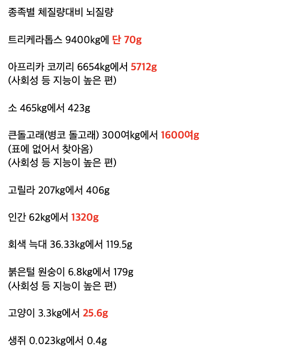 laterinfo_'s tweet photo. 저 조그만한 세상에 주인이 들어있다니 귀엽다 https://t.co/M2vamLAXzN
