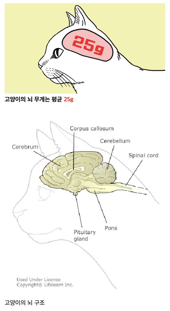 laterinfo_'s tweet photo. 저 조그만한 세상에 주인이 들어있다니 귀엽다 https://t.co/M2vamLAXzN