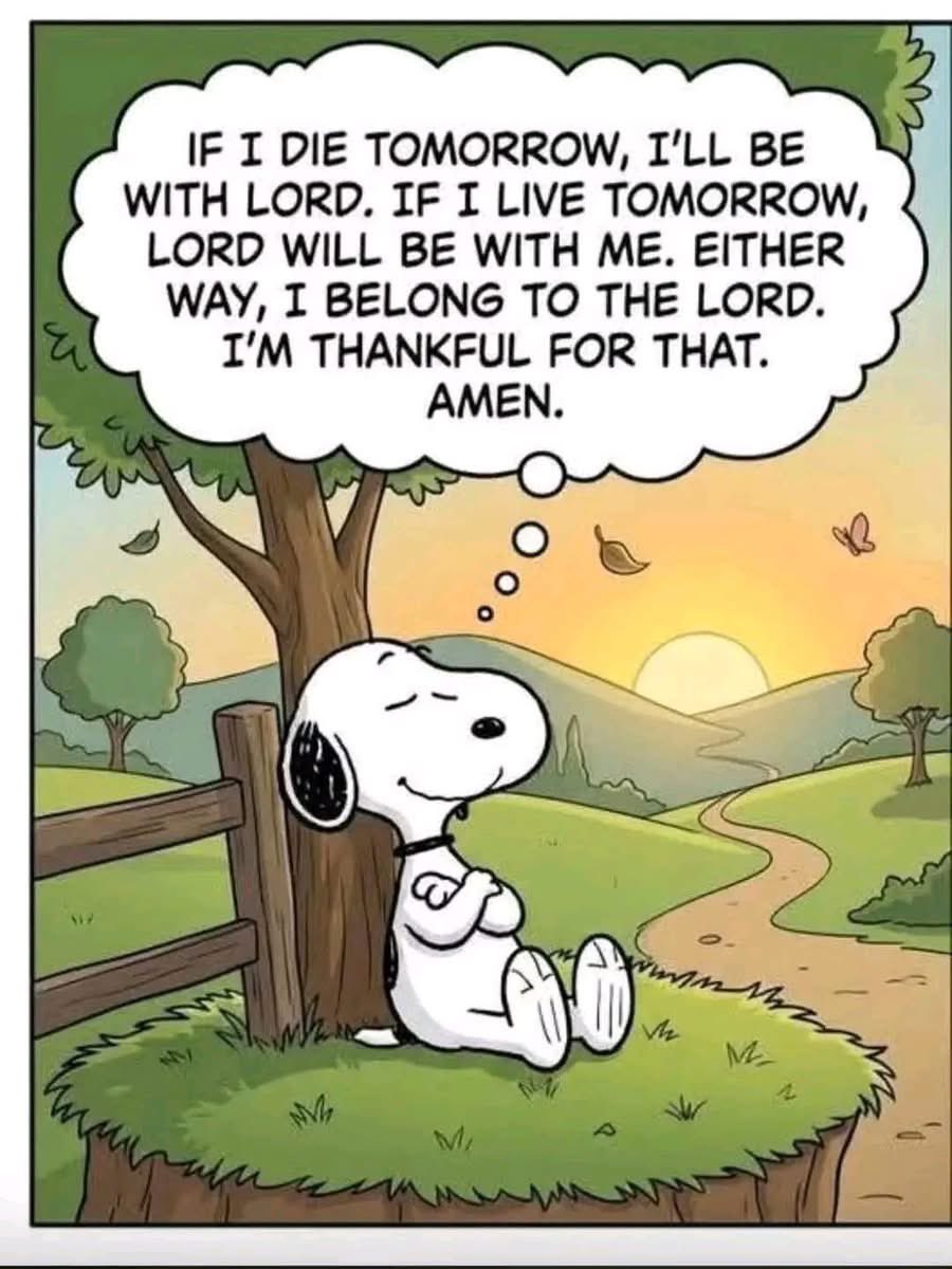 PaulaRed62's tweet photo. Good evening all. May you be blessed 💜💜 https://t.co/Py8KOQW6Qx