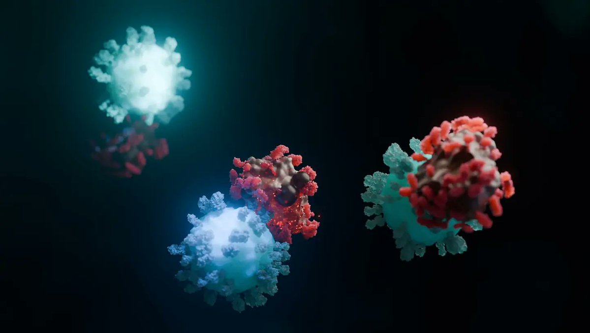 ChicagoUTEP's tweet photo. Spread the word to high school students interested in biomedicine! Chicago EYES on Cancer is a two-year cancer research training program for high school and college students interested in careers in biomedicine. 
Apply by November 30. https://t.co/Wz67pMc0wW https://t.co/be2jyao6nD