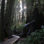 Photo by Pacific Rim NPR (@PacificRimNPR)