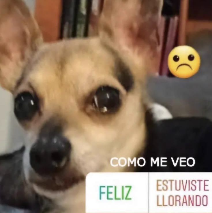 maggtev's tweet photo. @hyvniidolly Siii, nunca se preocuparon tanto por mi https://t.co/5oCg5DCccJ