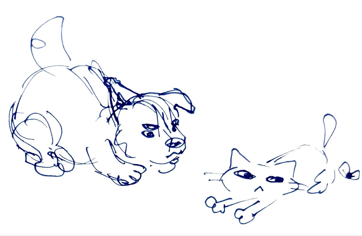 yuriwarriorcat's tweet photo. and my other newjeanimal sketches https://t.co/hdLt6snx8f