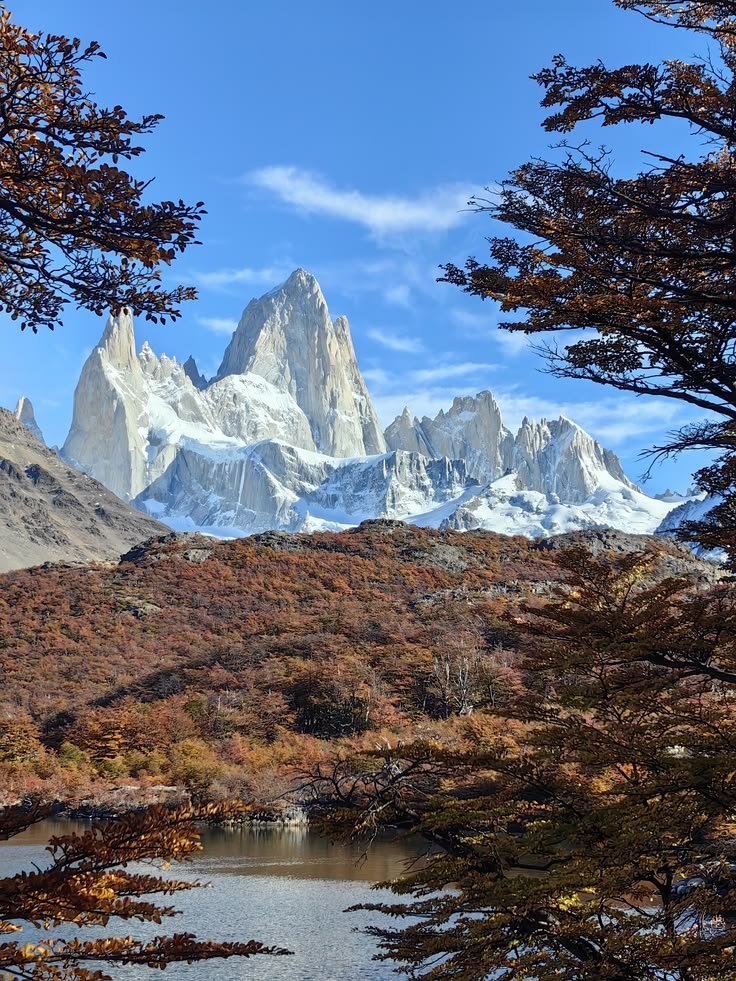 NaturalEye78321's tweet photo. Patagonia, Argentina 🇦🇷 https://t.co/eRHNUIAt2s