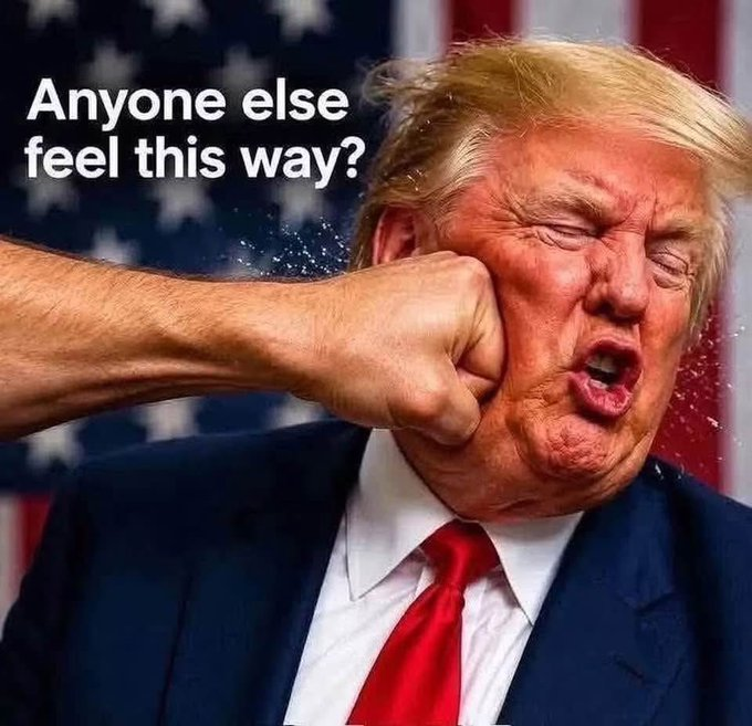 trumpy0dumpy's tweet photo. Anyone else feel this way?
#TraitorTrump https://t.co/wX2nDVm43j