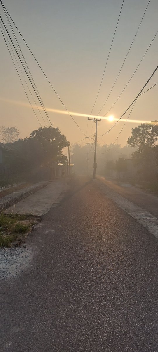 dragonirises's tweet photo. Ah shit here we go again...
Fuck pragib
Fuck indon govt https://t.co/8gP3zhIKhp