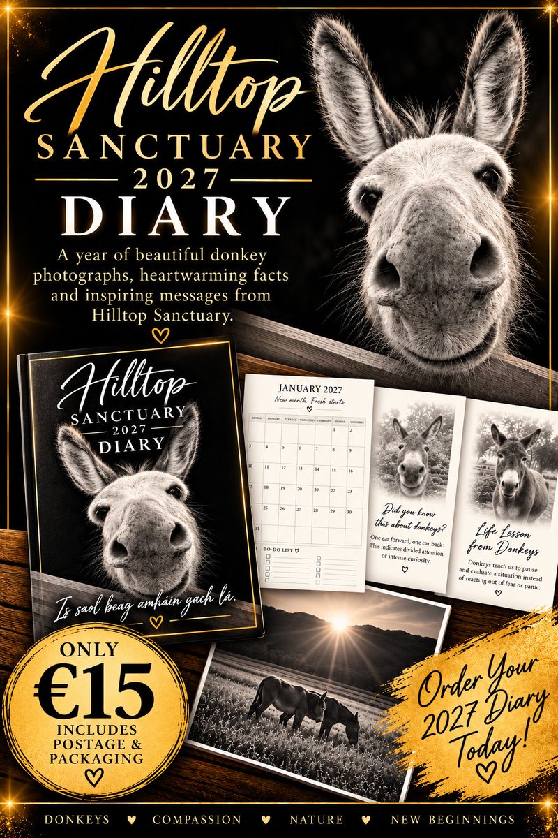 catlowry54's tweet photo. So it is a diary this year with lots of 'what we can learn from donkeys!' A lot!!😉Featuring the Ginger Nut Donks! (Sounds like a country track!) As always,would appreciate if you could share &amp; buy!💕
If you pay please dm me your address.
R.087-9237375
PP catlowry54@gmail.com https://t.co/BKPnKnAzhf