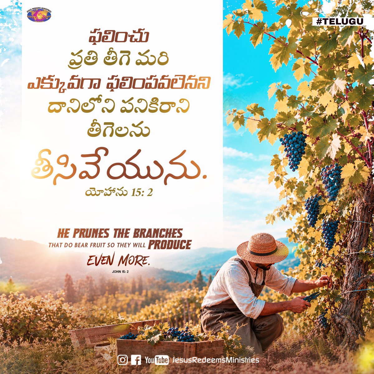JesusRedeems_'s tweet photo. ఫలించు ప్రతి తీగె మరి ఎక్కువగా ఫలింపవలెనని దానిలోని పనికిరాని తీగెలను తీసివేయును. యోహాను 15: 2
.
.
.
#dailypromiseword #wordofhope #wordoftheday #bibleverses #jesusredeemsministries #comforter #comforterdigitalchannel #promisesofgod #godspromise #promiseoftheday https://t.co/7OPPTFCrfY
