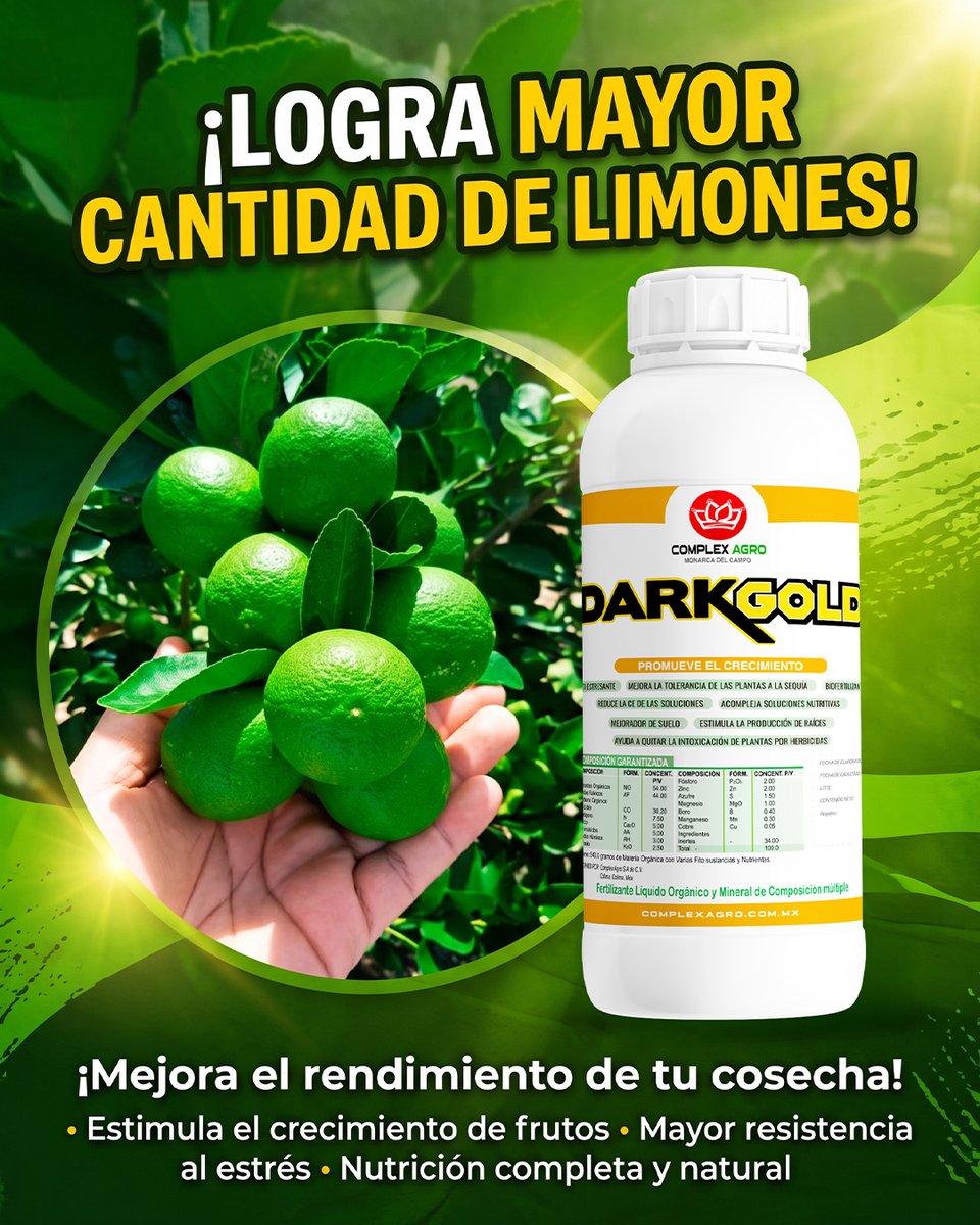 ComplexAgro's tweet photo. 🍋🌱 ¡Limones más grandes y fuertes comienzan con un cultivo bien atendido! 💪💚

Con Dark Gold, impulsa el crecimiento de tus frutos y acompaña a tu cultivo frente a los retos del campo. 🌿🚜

¡Dale a tus limones el manejo que necesitan para alcanzar su máximo potencial! https://t.co/HCQA5Z9CyC