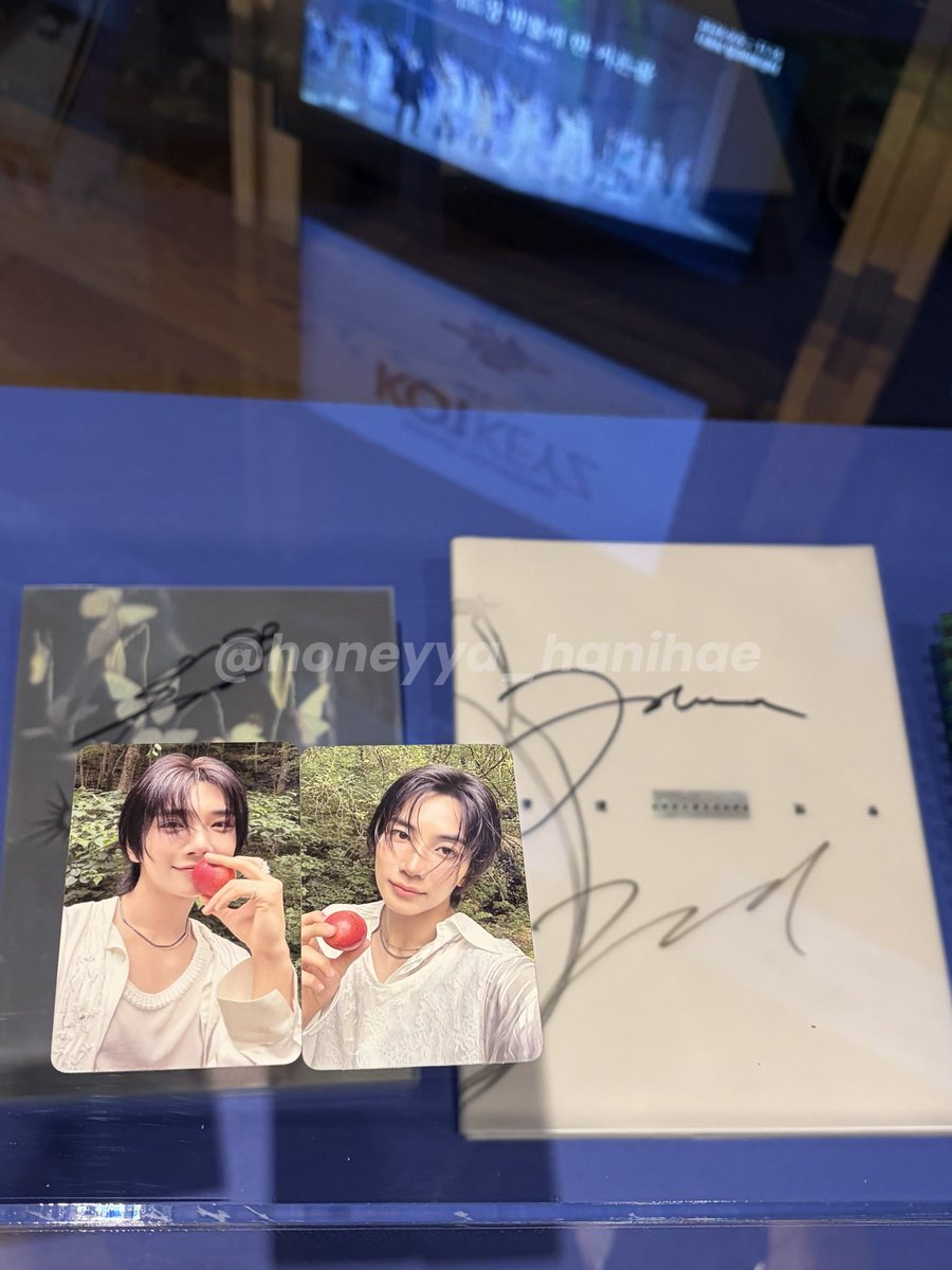 honeyya_hanihae tweet picture