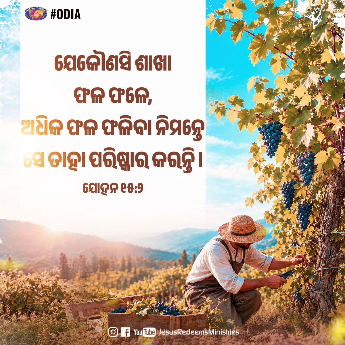 JesusRedeems_'s tweet photo. ଯେକୌଣସି ଶାଖା ଫଳ ଫଳେ, ଅଧିକ ଫଳ ଫଳିବା ନିମନ୍ତେ ସେ ତାହା ପରିଷ୍କାର କରନ୍ତି । ଯୋହନ ୧୫:୨
.
.
.
#dailypromiseword #wordofhope #wordoftheday #bibleverses #jesusredeemsministries #comforter #comforterdigitalchannel #promisesofgod #godspromise #promiseoftheday https://t.co/rjhoO0h1a4