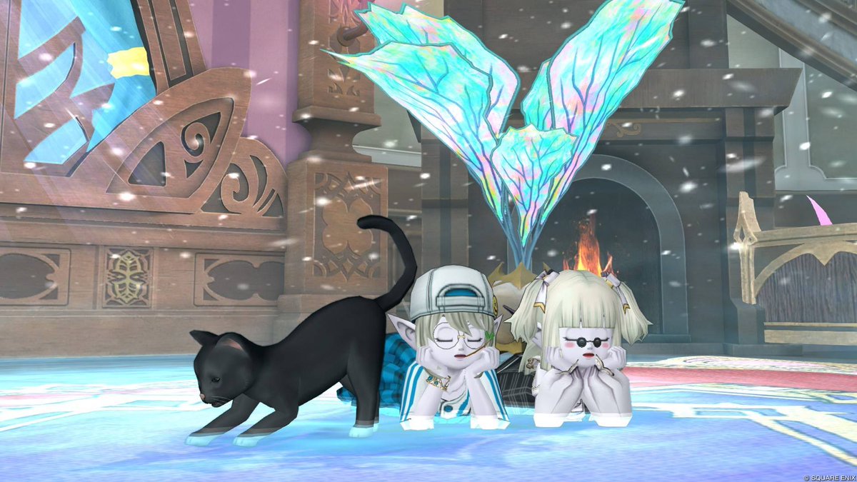 kumicha_dqx's tweet photo. @puppe0612 ありがとん！
ここで完全に黒猫にバカにされてる私を公開しちゃう！🤓 https://t.co/VObstcZw8P